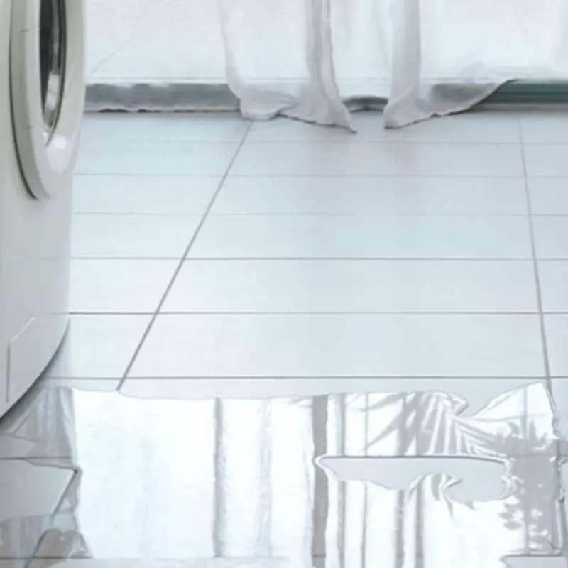 Appliance Leak Cleanup in Umatilla, FL